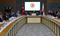 "Çocukların işlediği suçların yüzde 93,7'si adli nitelikte"