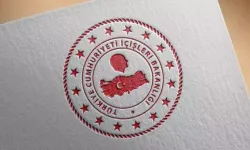 25 ilde silah kaçakçılarına operasyon: 404 gözaltı