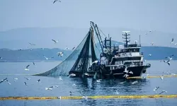 Denizlerde av yasağı 15 Nisan'da başlıyor
