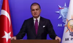 AK Parti'li Çelik: Teyit mekanizmasını reddettiğinizde süreç işlemez