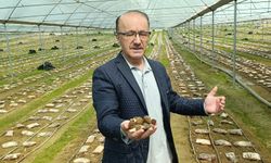 Antalya’da tarımda devrim