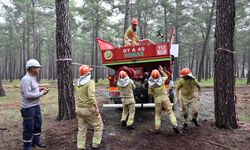 Ormancılar Antalya'da 6 farklı parkurda yarıştı