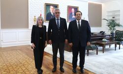 Türkiye'nin CAR-T hamlesi güçleniyor