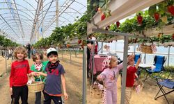 ALKÜ’lü minikler fidan dikip çilek topladı