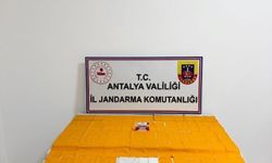 Alanya'da 75 bin kullanımlık yasaklı madde ele geçirildi