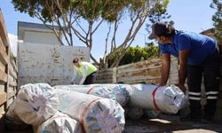 Kumlucalı çiftçilere sera naylonu desteği