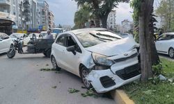 Motosiklete çarpmamak için direksiyonu kırınca ağaca çarptı