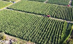 Tarımsal destekleme ödemesi bugün yapılacak