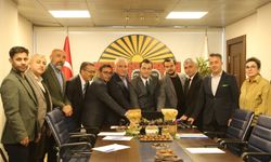 "Alanya keçiboynuzunu uluslararası alanda tanıtacağız"