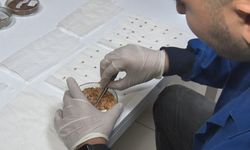 İran gerilimi sonrası gözler gıda güvenliğine çevrildi: Türkiye gen bankalarıyla hazırlıklı