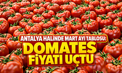 Antalya halinde mart ayı tablosu: Domates fiyatı uçtu