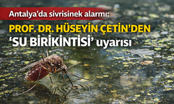 Antalya’da sivrisinek alarmı: Prof. Dr. Hüseyin Çetin’den "su birikintisi" uyarısı