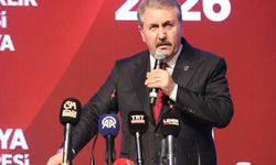 Destici: Amerika'da olan bizde de olacak