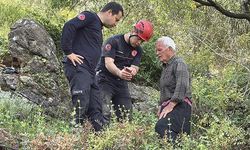 Alanya'da düve mağaraya sıkıştı