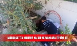Manavgat'ta mahsur kalan hayvanlara itfaiye eli