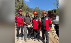 Mahsur kalan 2 keçi, 100 metrelik sarp araziden kurtarıldı