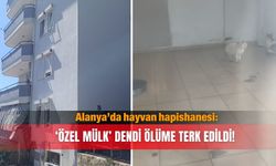 Alanya’da hayvan hapishanesi: ‘Özel Mülk’ dendi ölüme terk edildi!
