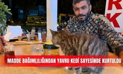 Madde bağımlılığından yavru kedi sayesinde kurtuldu