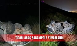 Ticari araç şarampole yuvarlandı