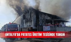 Antalya'da patates üretim tesisinde yangın