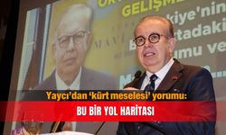 Yaycı’dan ‘kürt meselesi’ yorumu: Bu bir yol haritası