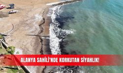 Alanya Sahili'nde korkutan siyahlık!