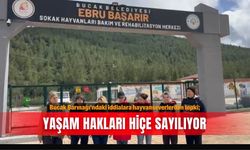 Bucak Barınağı’ndaki iddialara hayvanseverlerden tepki; Yaşam hakları hiçe sayılıyor