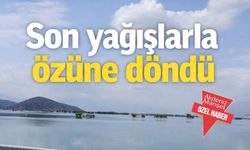 Son yağışlarla özüne döndü