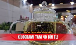 Rize’nin "beyaz altını" vitrine çıktı: Kilogramı tam 40 bin TL!