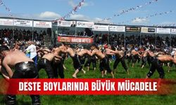 Deste boylarında büyük mücadele