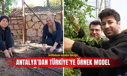 İstihdam odaklı terapi: Antalya’dan Türkiye’ye örnek model