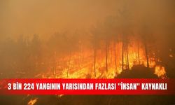 3 bin 224 yangının yarısından fazlası "insan" kaynaklı