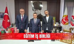 Eğitim iş birliği