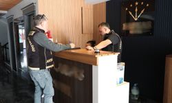 Antalya'da konaklama ve araç kiralama denetimi