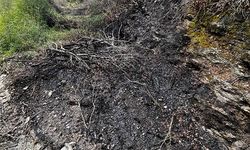 Alanya'da makilik yangını söndürüldü