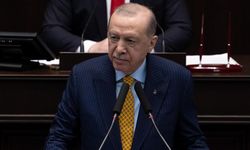 Cumhurbaşkanı Erdoğan: Hiç kimse Türkiye'ye parmak sallayamaz