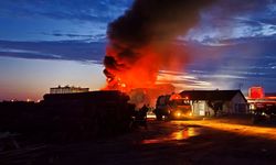 Kereste fabrikasında korkutan yangın