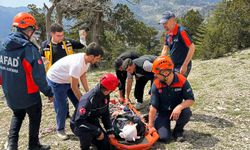 Uçuruma düşüp yaralandı, ekipler kurtardı