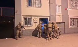 Bayğaralar suç örgütüne operasyon: 287 gözaltı