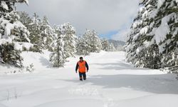 Antalya’da şaşırtan manzara