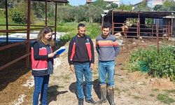 Serik'te buzağı ölümlerine yönelik bilgilendirme