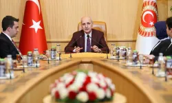 "Türk diasporası, Türkiye'nin gücünün artmasıyla paralel bir şekilde gelişiyor"