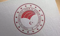 Tarım ve Orman Bakanlığı'ndan 'yapay et' açıklaması
