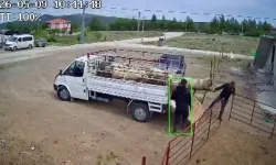 Burdur'da koçun saldırısına uğrayan besici kamyonetten düştü