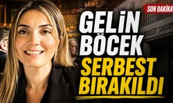 Gelin Böcek serbest bırakıldı