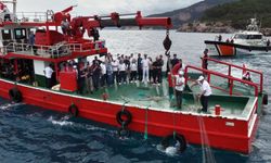 Deniz dibinden 500 metre uzunluğunda hayalet ağ çıkarıldı