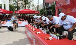 Kumluca'da en acı yarışmada altın için mücadele ettiler
