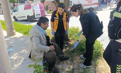 Yaya geçidinde aracın çarptığı kişi yaralandı