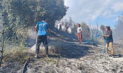 Antalya'da ormanlık alanda yangın