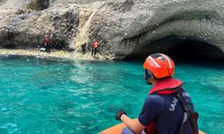 Antalya'da Akdeniz foklarının yeni yaşam alanı keşfedildi